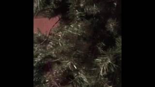 How to Quickly remove lights from pre-lit Christmas tree