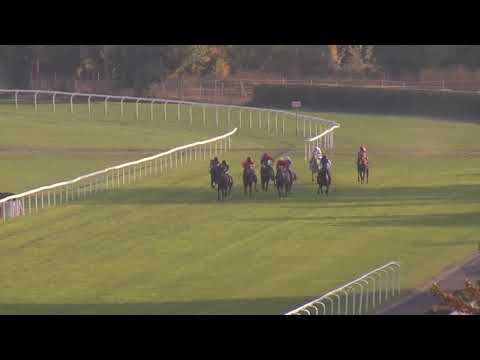 7. dostih - MEMORIÁL FRANTIŠKA HULEŠE - Videozáznam Memoriál Harryho Petrlíka 2018 v Chuchli