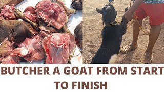 How to kill and cut a goat into nice parts at home #fullgoatcutting