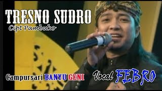 Download lagu TRESNO SUDRO mp3