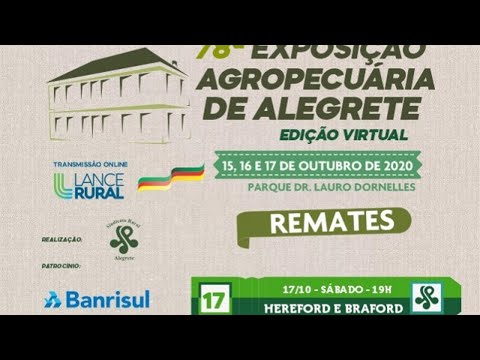 Remate Hereford e Braford