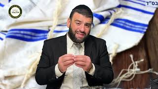 הרב אריה צברי פרשת אמור - כיצד נגדל את ילדינו בבית בריא ואוהב? - 3 כללים בחינוך הילדים!