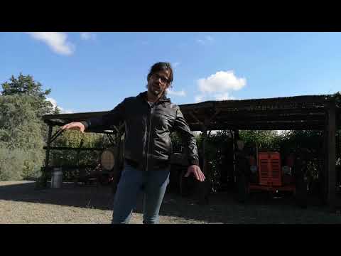 Fattoria di Fibbiano, Toscana: Slow Wine 2023