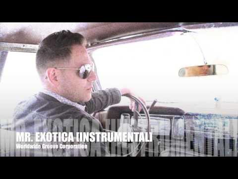 Mr Exotica (instrumental) - Worldwide Groove Corporation