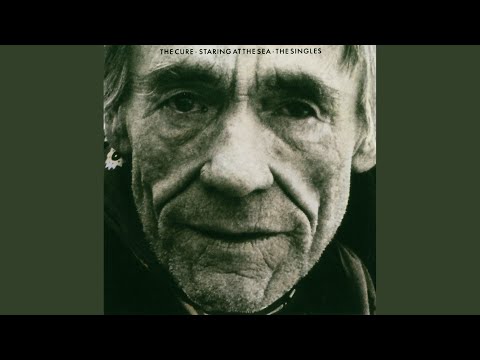 Video thumbnail for A Forest (Edit)