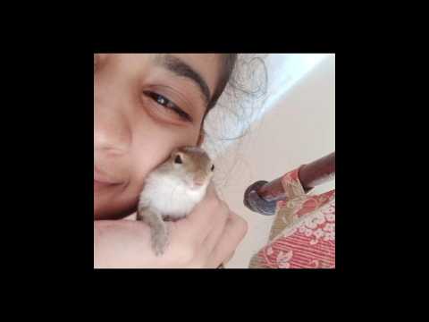 😊😊❤️#shortvideo #shortsyoutube