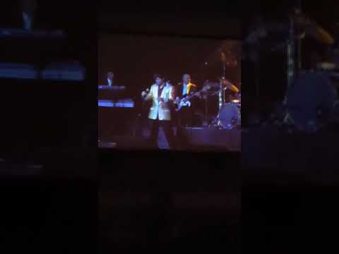 Promotional video thumbnail 3 for Hispanic Elvis Presley