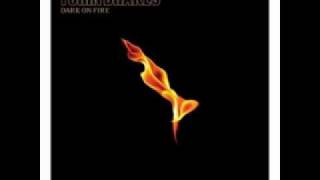 Timewaster - Turin Brakes