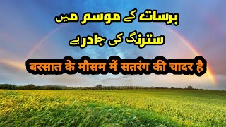 برسات کے موسم میں