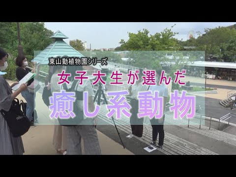東山動植物園シリーズ　女子大生が選んだ 癒し系動物