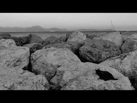 The Vision Reels - Eyes Closed