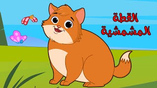 اغنية القطه المشمشيه حلوه بس شقيه اغاني اطفال بون بون