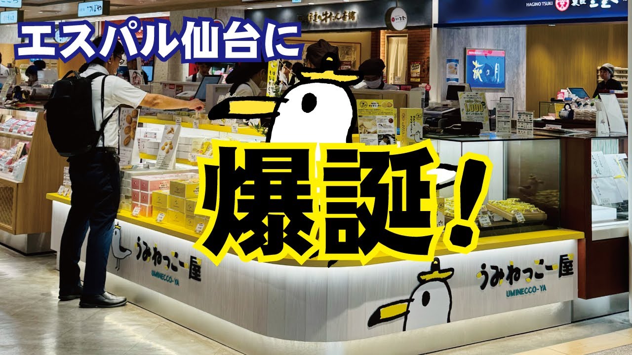 🎉【御礼】うみねっこー屋ついにグランドオープンへ！皆さまのご支援に感謝✨