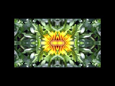 Kordiał - Czterowiersz (video)