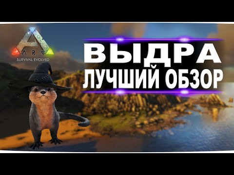 Выдра (Otter) в АРК. Лучший обзор: приручение, разведение и способности выдры в ark