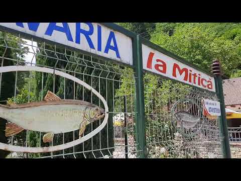 Pastravaria la Mitica