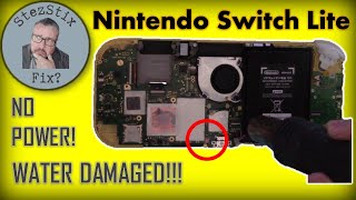 Water Damaged Nintendo Switch Lite that has been swimming in a dog's water bowl!  Can I Fix It?
