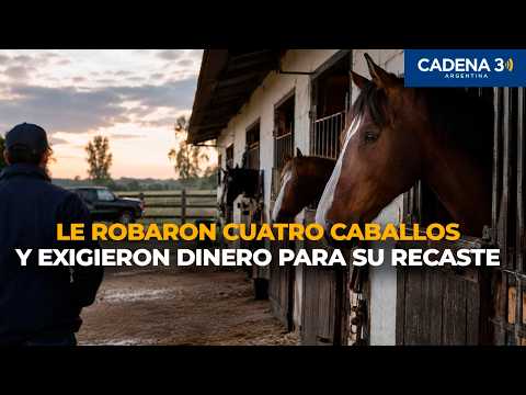 LE ROBARON CUATRO CABALLOS Y LE EXIGIERON DINERO PARA DEVOLVÉRSELOS | Cadena 3 Argentina