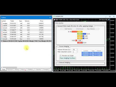 Video Risk Monitor MT4