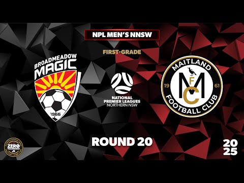 NPL Men's NNSW Round 20 First Grade - Broadmeadow Magic v Maitland FC