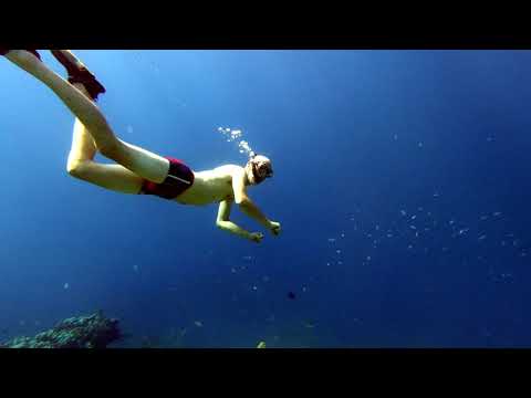 Trailer DTZ Clubreis Bonarie 2018