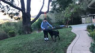 Training Graffiti 1-1-19