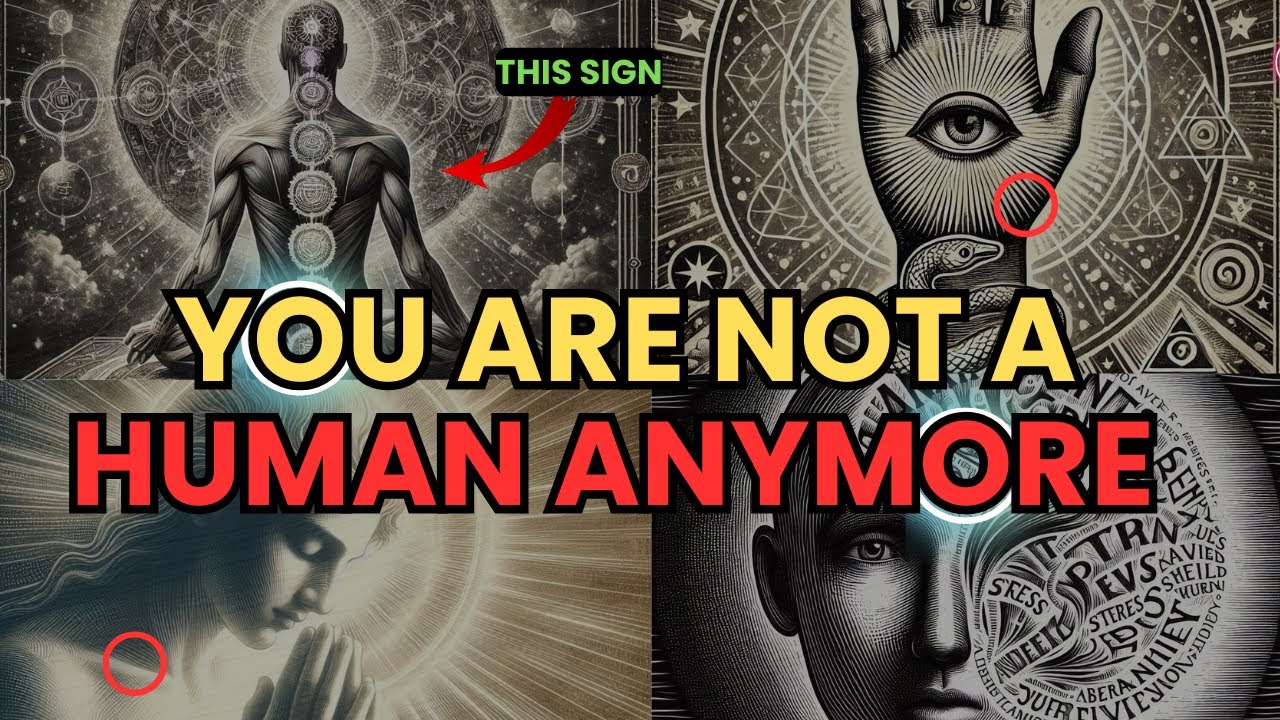 You Are Not a Human! 🚨 Here’s Why You’re More Than You Think 🌟 | Enlighten Wisdom |