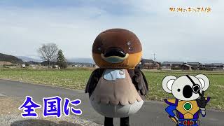 2026/3/19放送・知ったかぶりカイツブリにゅーす