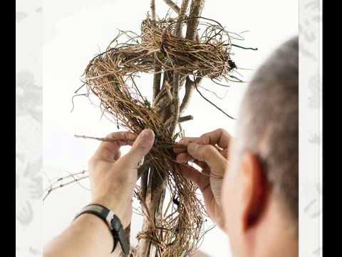 Tropical Flowers, Designs By Felipe Sastre