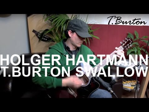 T.Burton Swallow by Holger Hartmann