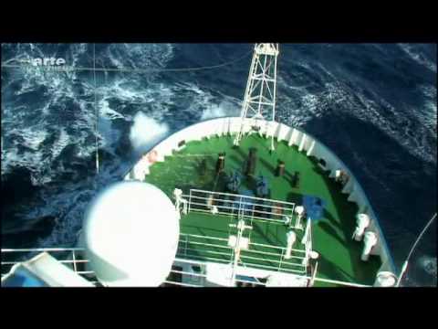 Plastik über alles - Eine Welt aus Plastik (1/9)