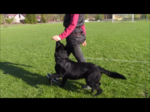 Quick ze Stribrneho kamene