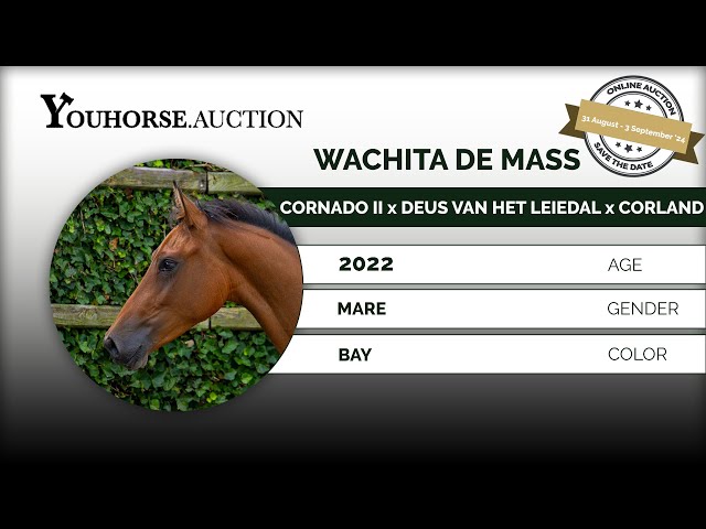 Wachita de Mass