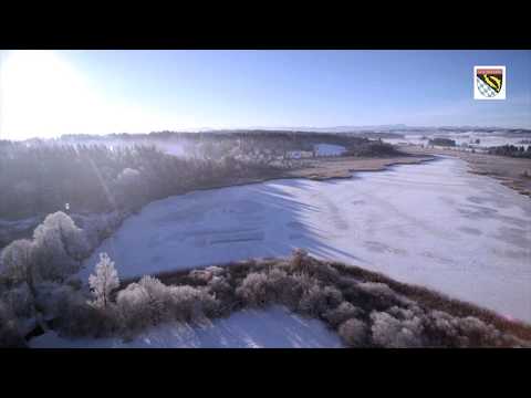 Kormoran und Fischschutz