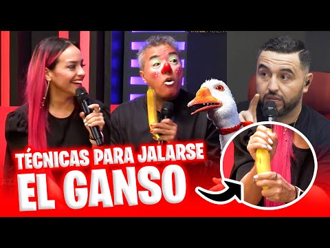 Técnicas para jalars3 el #ganso  - Pipirin y Silvia de Ochoa - Mike Salazar y Su Zona de Desmadre