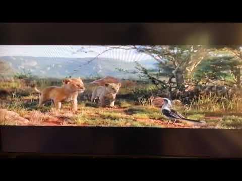 The Lion King 3D TV Spot - Long Live The King