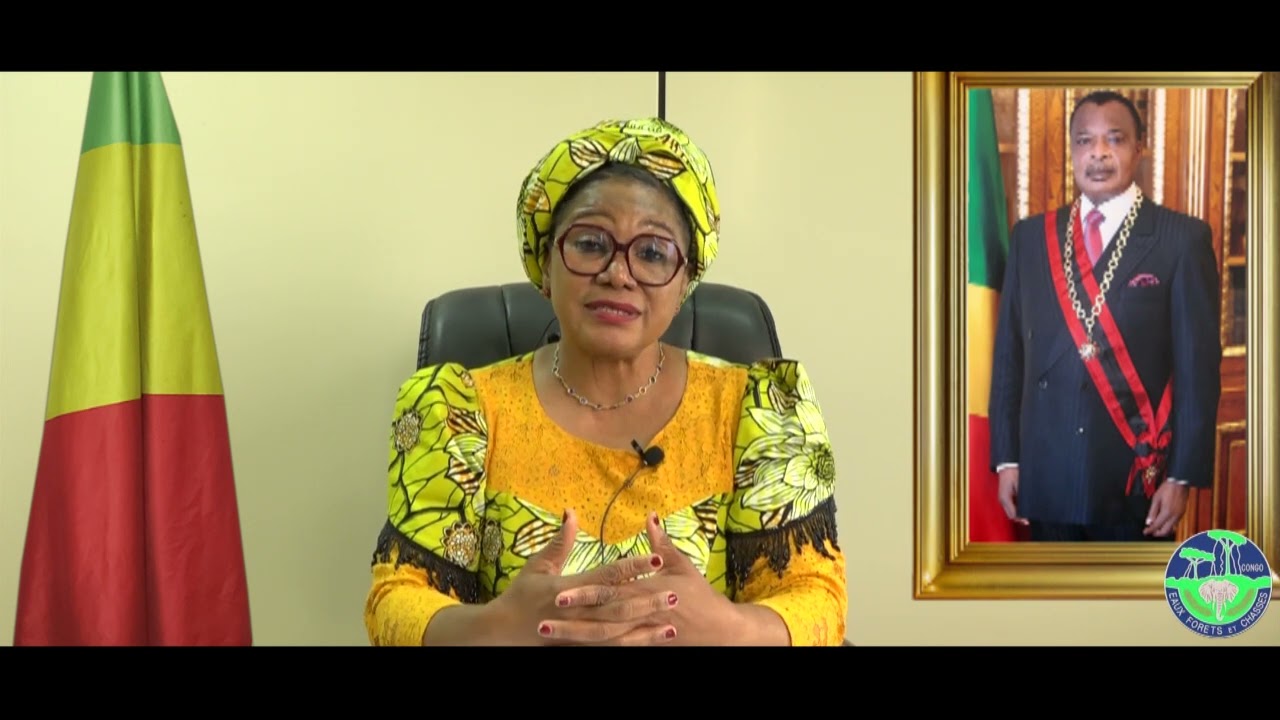 COP30 - Vision et Engagement : Le mot de S.E. Rosalie Matondo sur les PSE en Afrique Centrale