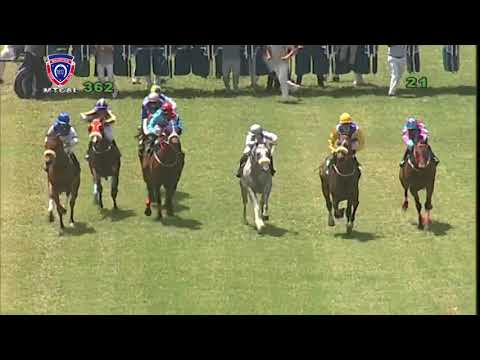 RM36 R2 | Good Buddy | R.Bheekary