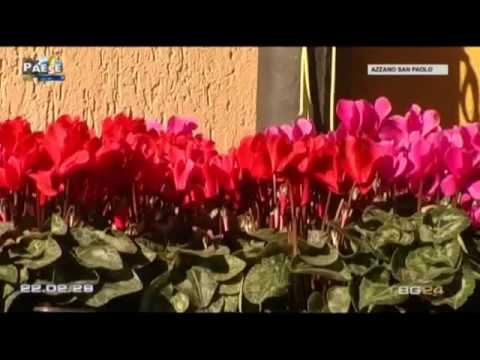 Paese che vai Azzano San Paolo 3° parte