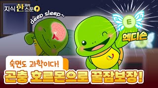 [지식 한스푼] 숙면도 과학이다! 곤충 호르몬으로 꿀잠보장!