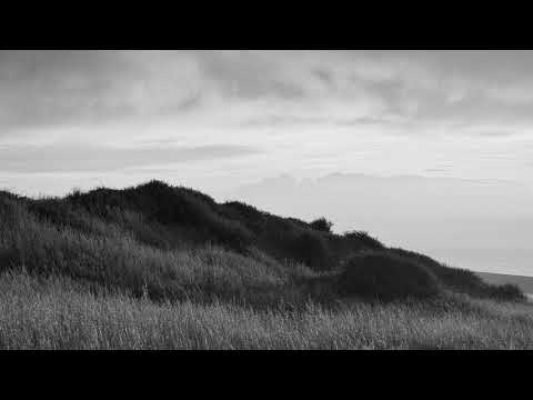 Suika #132 w/ Salvador, Krawall, QuiQui, Danjo, About : river, Chinaski and others...