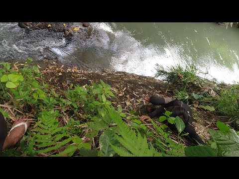 SE02EP094 - TIWARIK "PATIKIM ng HITO MO" (PeTV) San Pablo CIty, Laguna