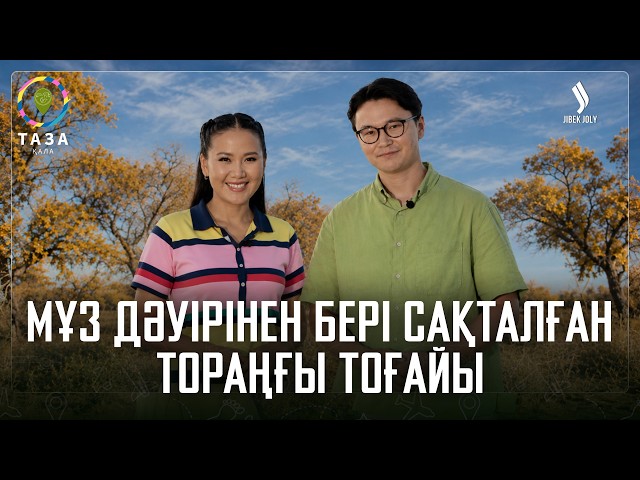Мұз дәуірінен бері сақталған Тораңғы тоғайы