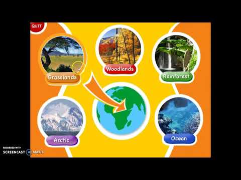 Animal Genius Part 1