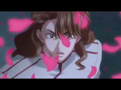 Sailor Senshi and Shitennou amv