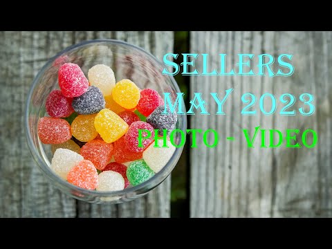 Can I made some money with my camera? Stock photo and video sale details in May 2023