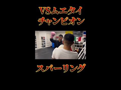 ムエタイ日本チャンピオンにスパーリングしてもらいました【本編はコメント欄へ】【山浦 俊一】【ブレイキングダウンに出るために】【Breaking Down】　#shorts