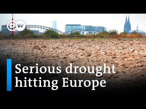 Europe's rivers are running dry as the climate crisis worsens | DW News