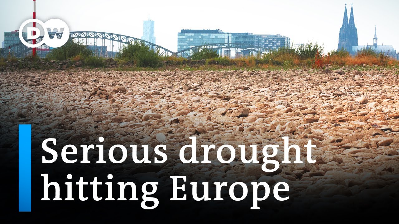 Europe's rivers are running dry as the climate crisis worsens | DW News