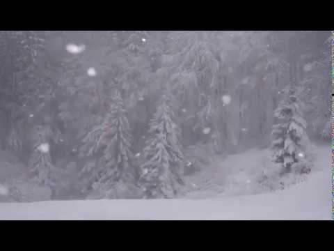 Merry Christmas from Active Living Orion